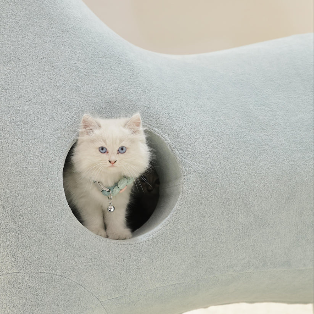 DinoLounge®: El hábitat jurásico para tu gato