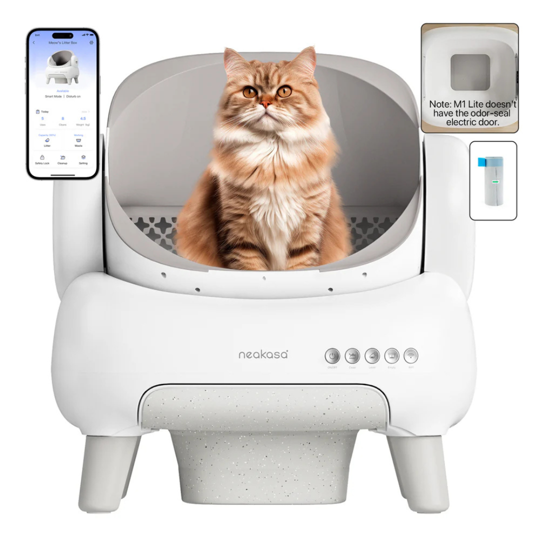PurrBox®: The Smart Anti-Smell Litter Box