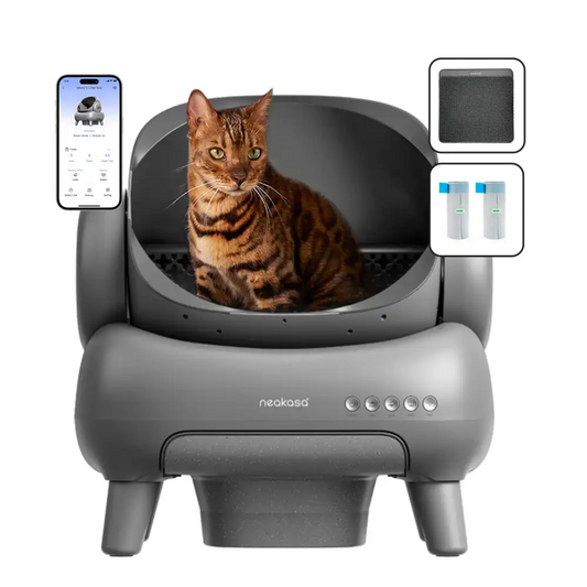 PurrBox®: The Smart Anti-Smell Litter Box